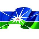 Câmara Municipal de Uberlândia