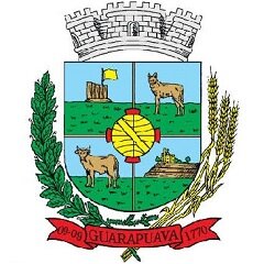 CM Guarapuava