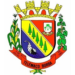 Prefeitura Municipal de Telêmaco Borba
