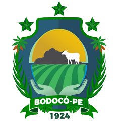 logotipo
